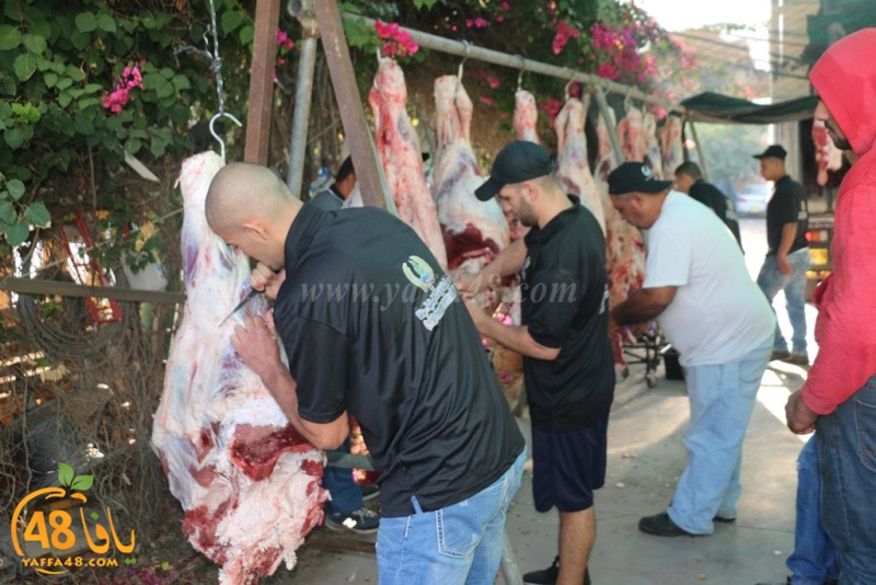 lod8om ada73y (76).JPG